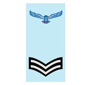 Indian Air Force Ranks