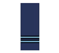 Indian Air Force Ranks