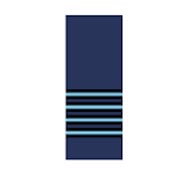 Indian Air Force Ranks