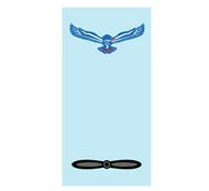 Indian Air Force Ranks