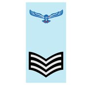 Indian Air Force Ranks
