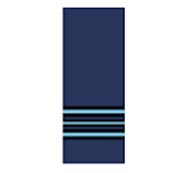 Indian Air Force Ranks