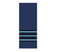 Indian Air Force Ranks