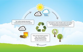 Source of Electricity