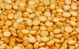 Types of Cereals and Pulses