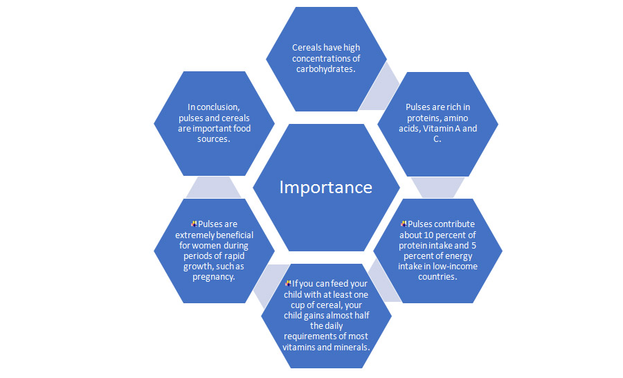 Types of Cereals and Pulses