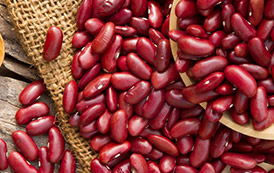 Types of Cereals and Pulses