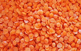 Types of Cereals and Pulses