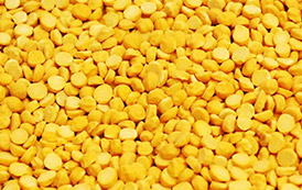 Types of Cereals and Pulses