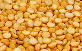 Types of Cereals and Pulses