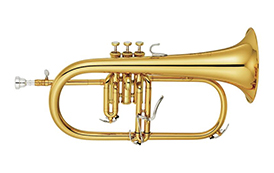 India Musical Instruments