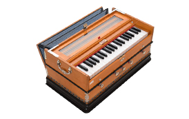 India Musical Instruments