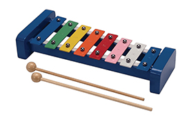 India Musical Instruments